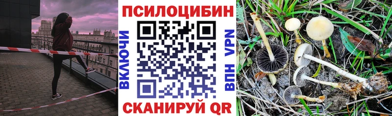 хочу наркоту Перевоз площадка состав Галлюциногенные грибы MAGIC MUSHROOMS
